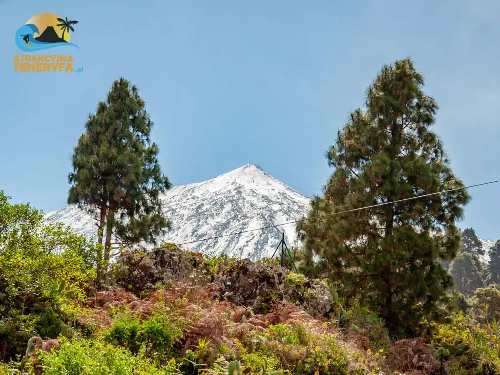 Od wybrzeża do szczytu: Jak zmienia się pogoda wznosząc się na Teide?